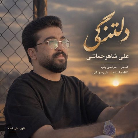 دانلود آهنگ علی شاهرحمانی دلتنگی